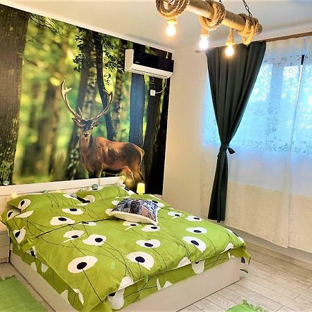 Nature Escape Studio Бухарест Экстерьер фото