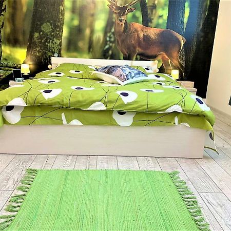 Nature Escape Studio Бухарест Экстерьер фото