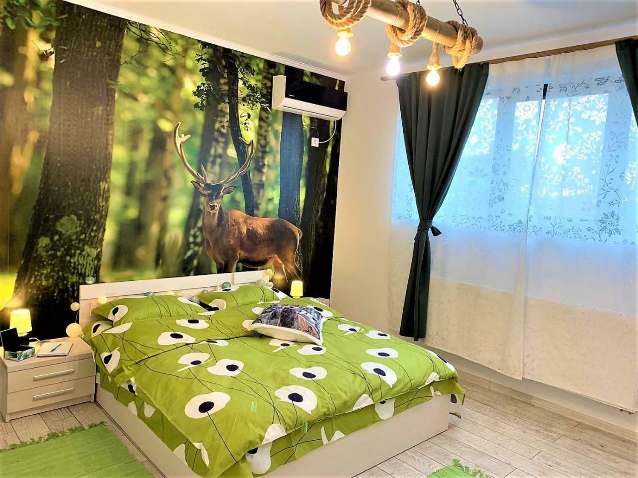 Nature Escape Studio Бухарест Экстерьер фото