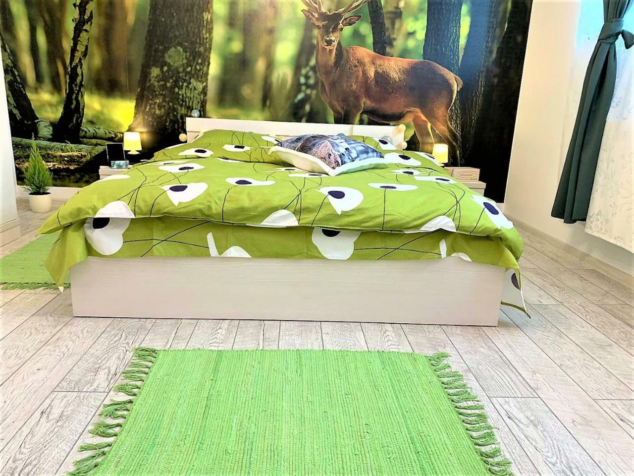 Nature Escape Studio Бухарест Экстерьер фото