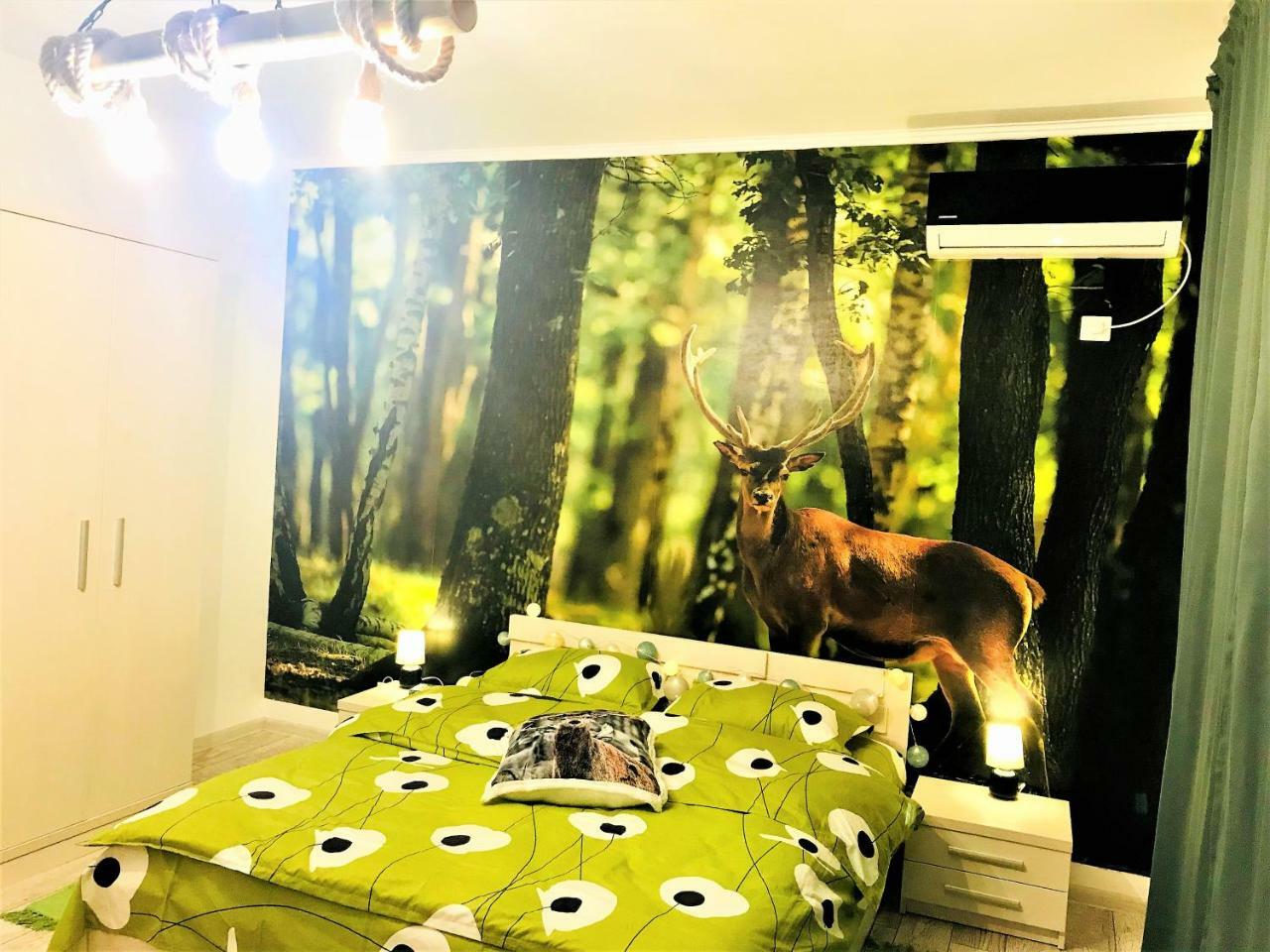 Nature Escape Studio Бухарест Экстерьер фото